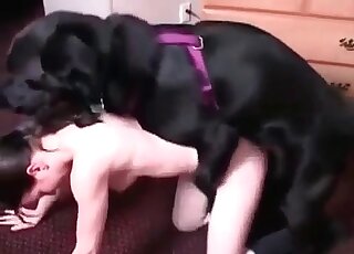 Black dog enjoys a dirty penetration