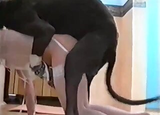 Whore with white stockings gets dominated by a hound