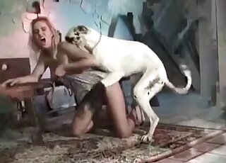 White dog nicely pounds her tight wet hole