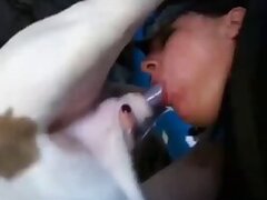Amateur animal porn