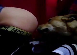 Man with a big butt is sexually teased by a lovely dog