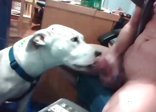 Watch how my doggy is licking my boner