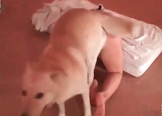 Accurate wet pussy drilled by a doggy