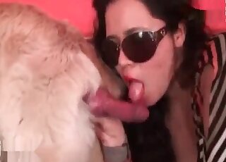 Shades-wearing chick sucking dog's cock