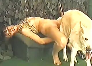 Good ass to pussy fuck with white dog
