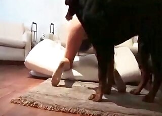 Tight cunt is getting penetrated by a rear end