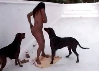Extremely hot sex with a sexy black dog