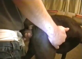 Dude fucking this slutty-ass doggy