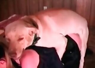 Awesome doggy is fucking her snatch