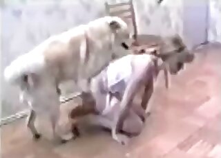 Blonde doll sucked her own trained doggy
