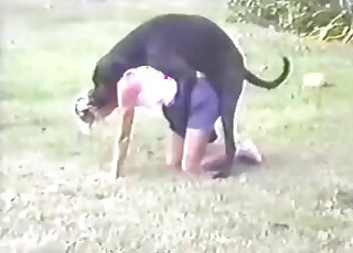 Beauty and her Doberman are enjoying bestiality dog fuck