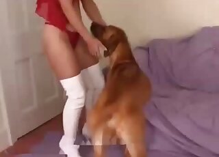 Thick chick with a mask on really loves her doggo