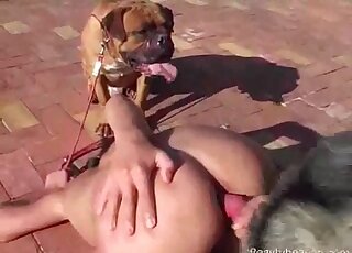 Perverted gets screwed by a dog
