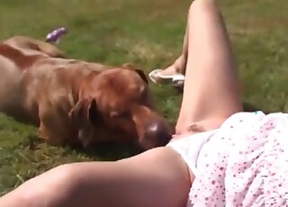 Cute dog licks her snatch with pleasure