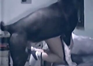 Woman gets totally dominated by a great doggo