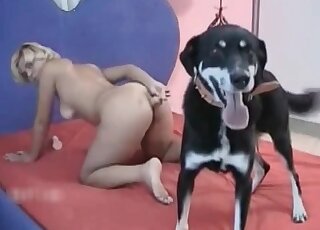 Dog fucked a fantastic milf with zeal and strength