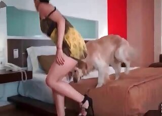 Kinky doggo and the filthy owner