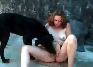 Black dog fucking her on cam