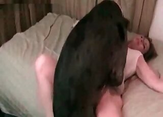 Her labia fucked by a big dog
