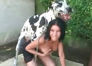 Dalmatian in awesome amateur bestiality