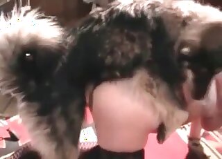 Incredible animal sex with a lovely doggo