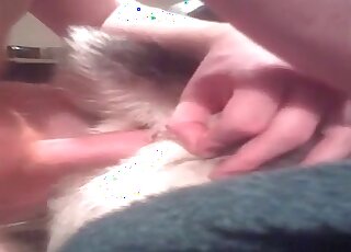 Amateur anal sex with a dog
