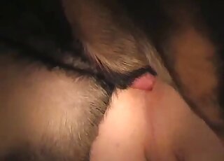 Close-up doggy style sex with a dog