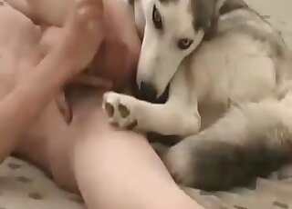 Cute doggy is getting a nice load of semen