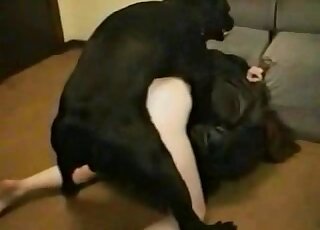 Horny young doggy is fucking so freaking fast