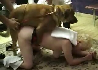 Sexy doggy and nice chick in bestiality XXX