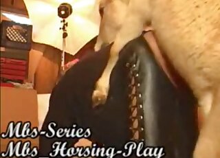 Doggy style farm sex with a pony