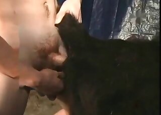 Perfect black dog enjoys nasty bestiality