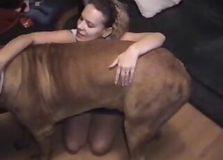 Big brown dog knows how to lick a pussy