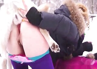 Outdoor sex on the snow with white dog