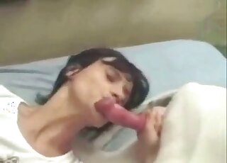 Black hound with a large cock receives a BJ from a brunette