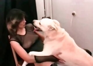 Sexy doggy and a zoofil fuck so good