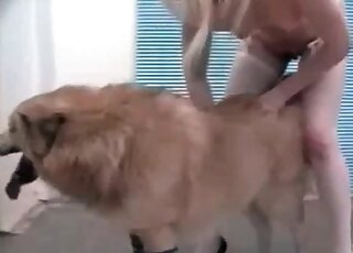 Huge hairy dog and slim bitch