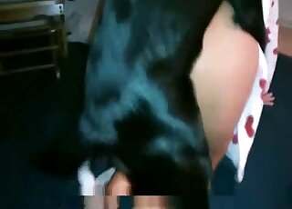 Awesome doggy licking her juicy round booty