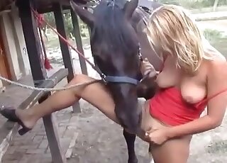 Black dog seduced and fucked by a hot lady