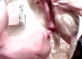 Doggy dick licked by a sweet zoophile