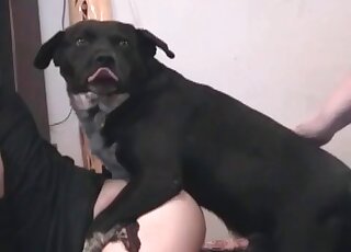 Fucking from behind with a doggie in this video