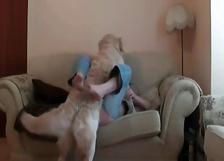 Sweet juicy cootchie licked by a doggy