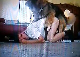 VHS video showing a dude fucking a dog