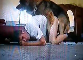 VHS video showing a dude fucking a dog