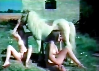 Vintage sexual fun where a brunette loves her dog