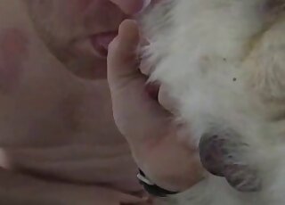 Man is playing with his cock while blowing a lovely doggo
