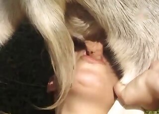 Kinky doggo in a fantastic zoo sex video