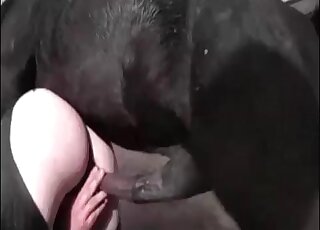 Doggy style sex action with nice stallion