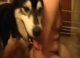 Doggy with big dick hard fucked by a horny zoofil