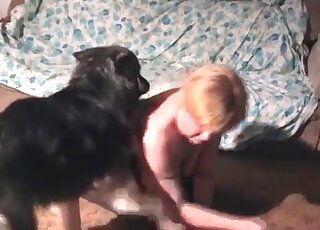 Doggy loves fat host and bestiality sex